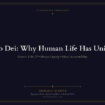 Featured image for The Imago Dei: Why Human Life Has Unique Value - Theology in Focus