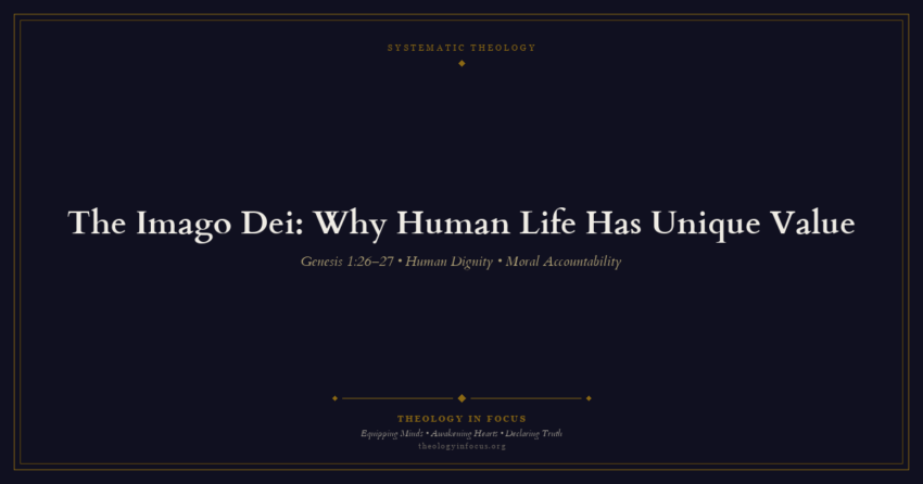 Featured image for The Imago Dei: Why Human Life Has Unique Value - Theology in Focus